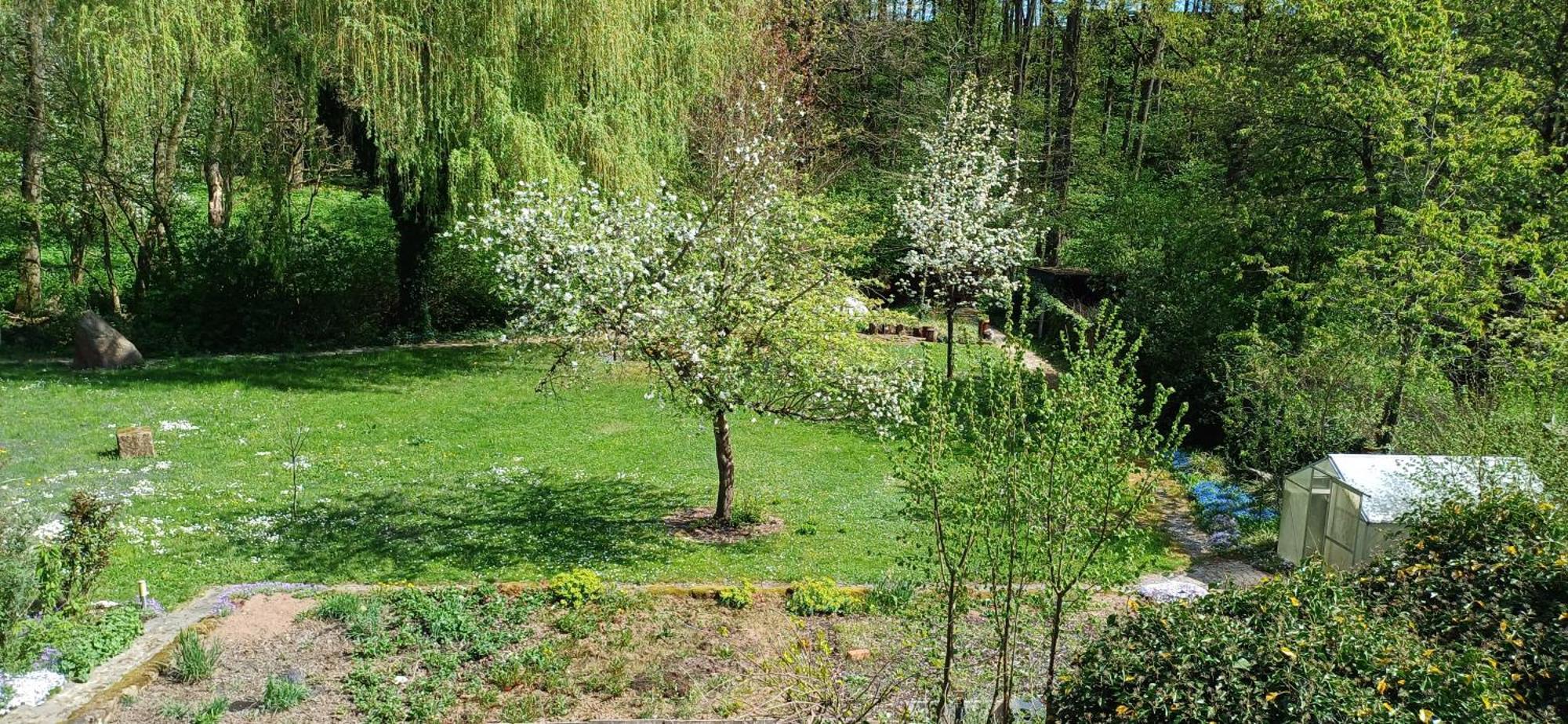 Wohnung In Medlitz Rattelsdorf Exteriör bild